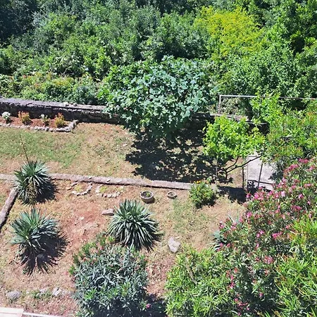 Apartman E&g